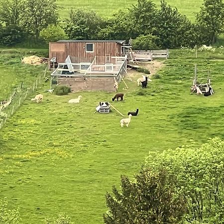 Gemuetliche 3-Zimmer-Wohnung Mit Panoramablick Und Kostenlosem Ueberdachten Parkplatz Winterberg Eksteriør bilde
