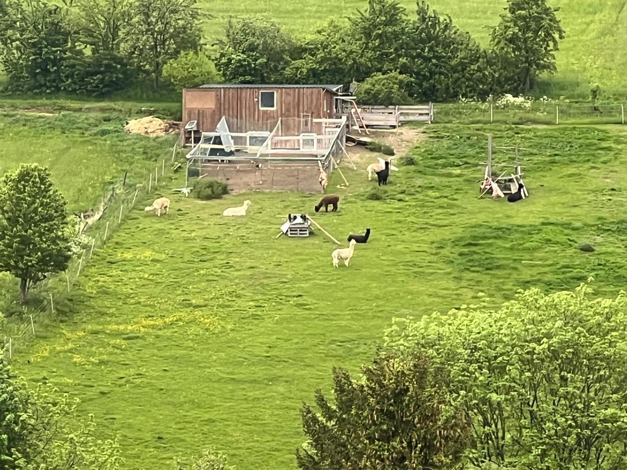 Gemuetliche 3-Zimmer-Wohnung Mit Panoramablick Und Kostenlosem Ueberdachten Parkplatz Winterberg Eksteriør bilde